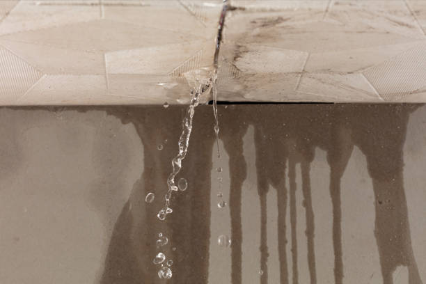 Professional Structural Drying technician working in Bellmore, NY